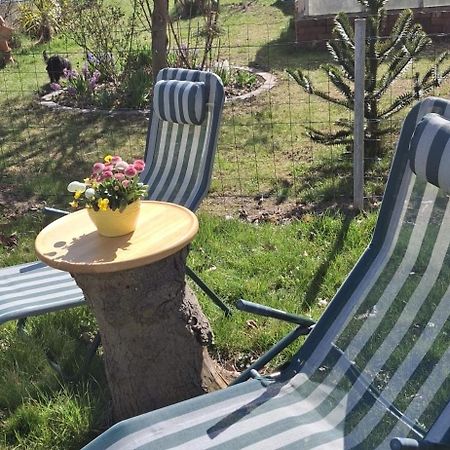Ferienwohnung Rosengarten Ballenstedt Kültér fotó