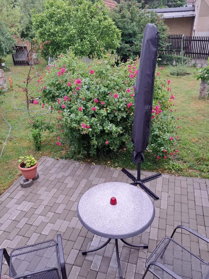 Ferienwohnung Rosengarten Ballenstedt Kültér fotó