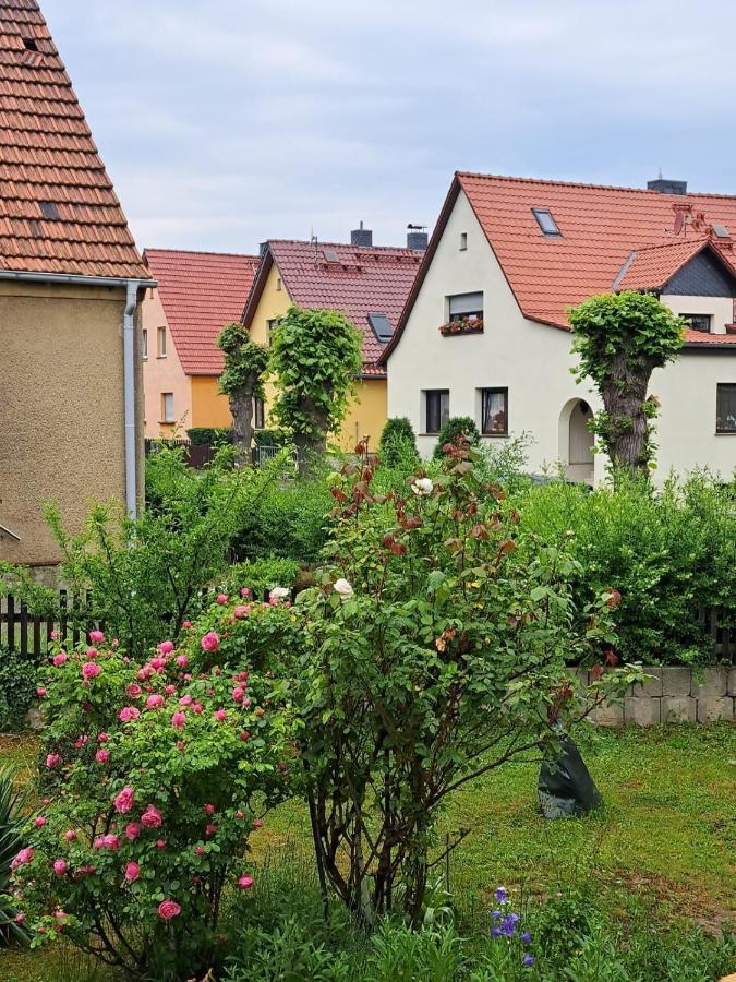 Ferienwohnung Rosengarten Ballenstedt Kültér fotó