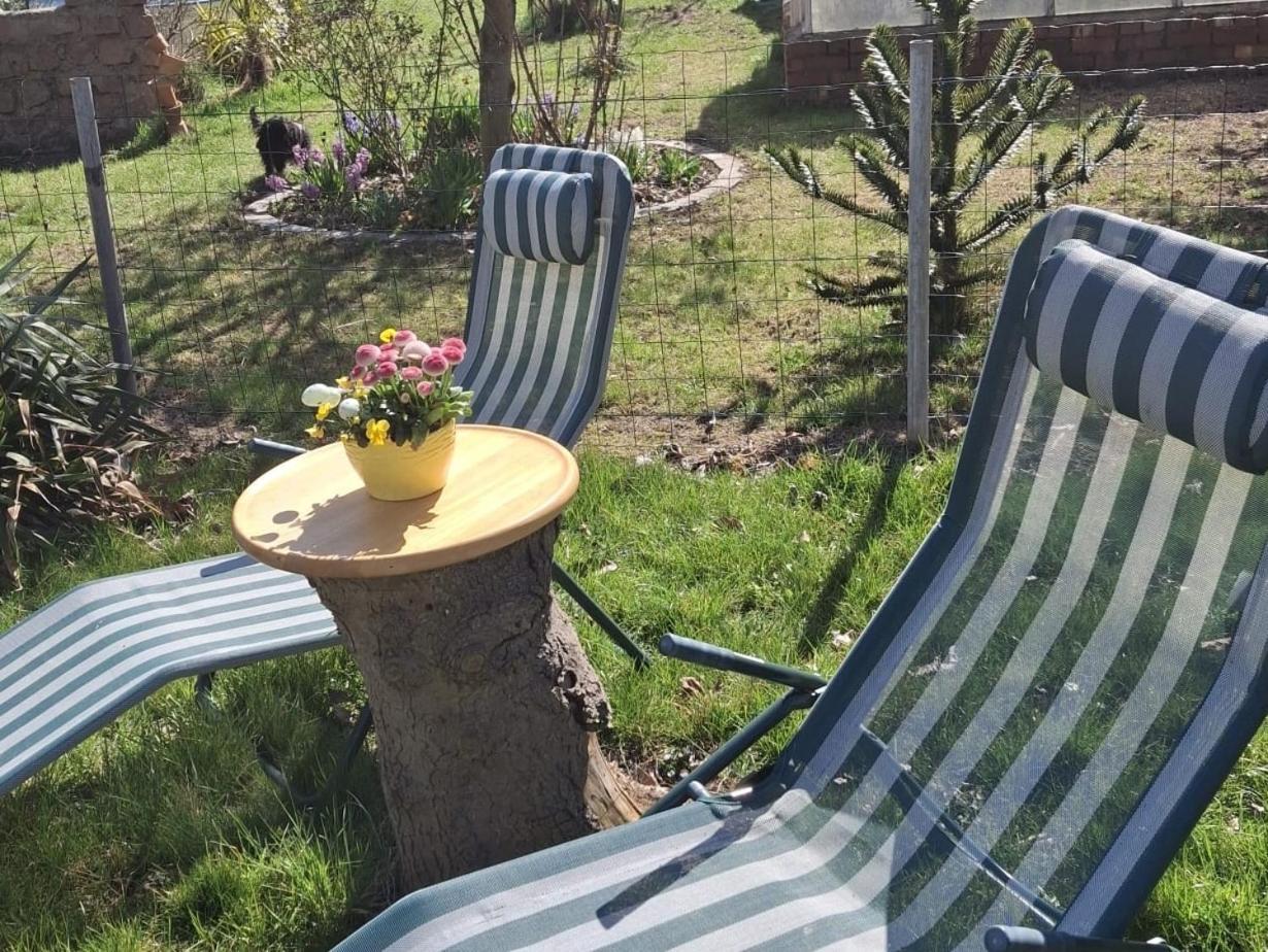 Ferienwohnung Rosengarten Ballenstedt Kültér fotó